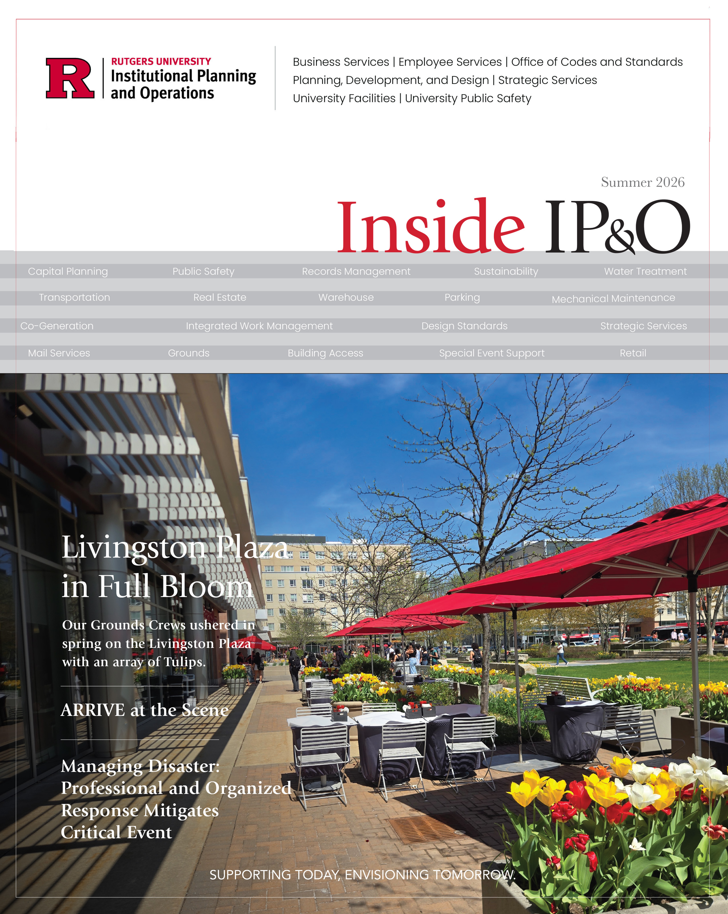 ipo
