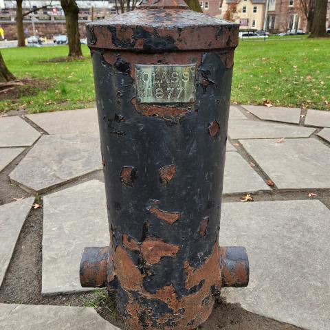 1877_Cannon