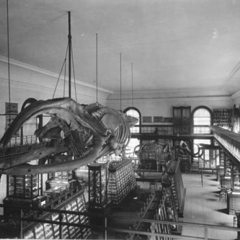 Geology_Hall