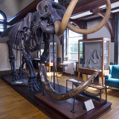 Geology_Hall