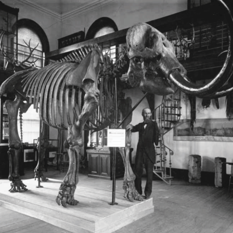 Geology_Hall